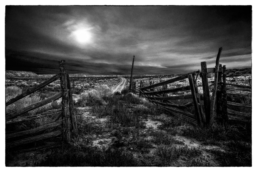 _DSC4989-2Edit (1)