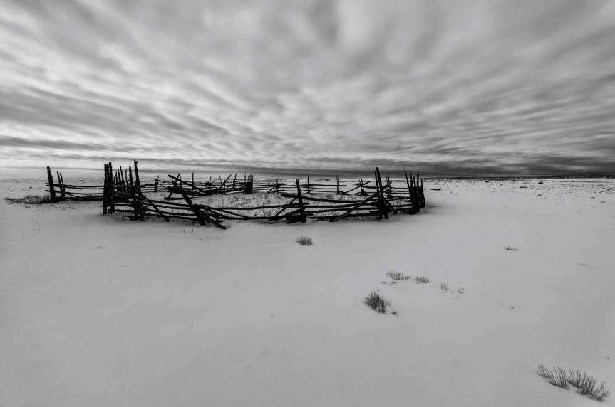 _DSC9555-2Edit-2 (1) (1)