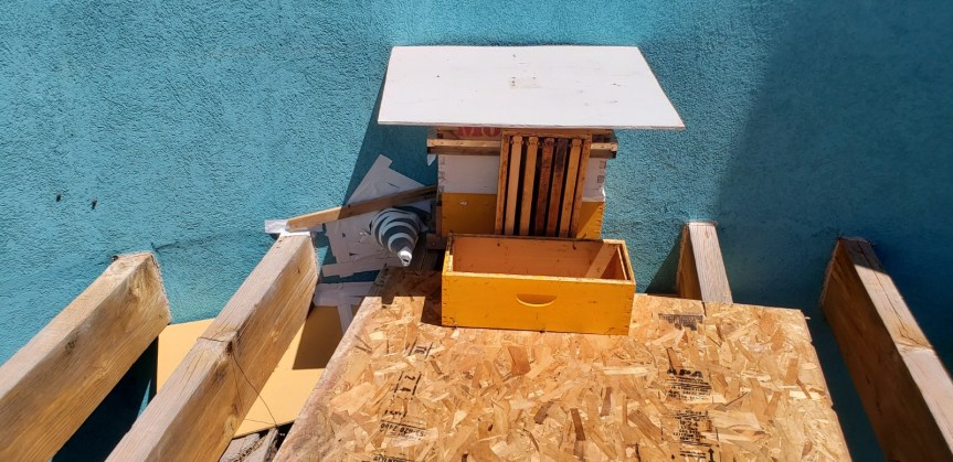 Bluff Beekeepers Calendar:&nbsp;June