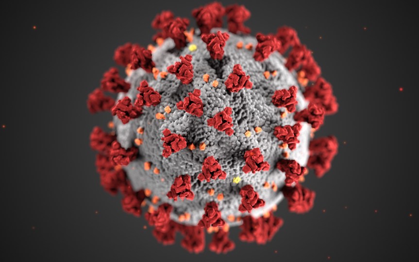 To Stop Coronavirus In Its Tracks, Here’s Your Guide To 5 Degrees Of&nbsp;Separation