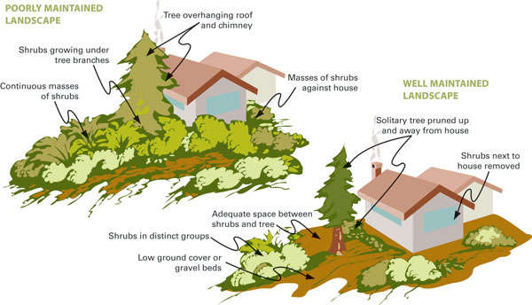 Stuck at home? Practice fire&nbsp;safety