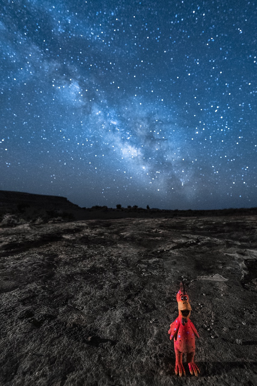 Photo by Paul&nbsp;Martini