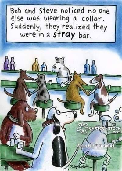 Paw Prints: May&nbsp;2022