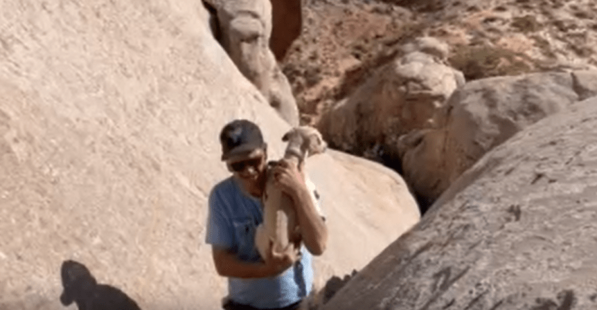 Paw Prints October&nbsp;2022